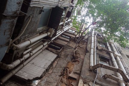 Chinese banyan growing on a house in Sheung Wan, Hong Kong